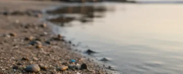 quelle duree vie dun